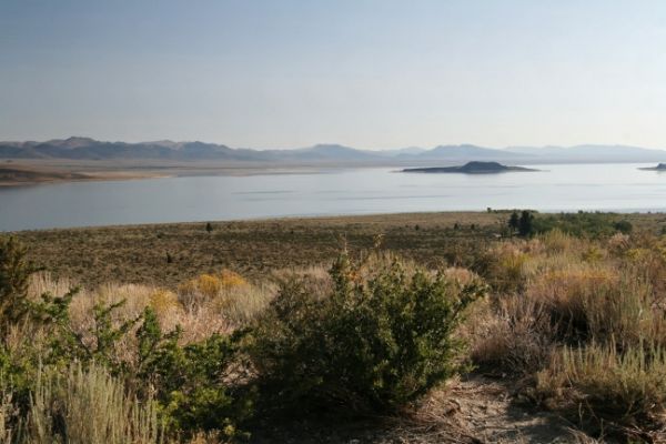 Mono Lake
