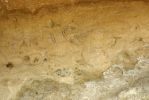 DSC04563 Takiroa Rock Art Shelter Petroglyphen_k