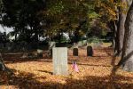 IMG_3004_Rhinebeck_Reformed_Church_Cemetery_Forum.jpg