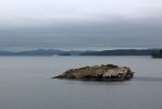 IMG_3021_BC_Ferries_Inseln_vor_Vancouver_Island_forum.jpg