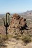 IMG_3617_DxO_raw_Lost_Dutchman_State_Park_Prospectors_View_Trail_Saguaro_Forum.jpg