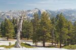 IMG_7785_DxO_Yosemite_Sentinel_Dome_Half_Dome_Forum.jpg