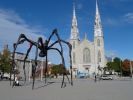 P1010431_DxO_Ottawa_Spider_ND_Cathedral_Forum.jpg