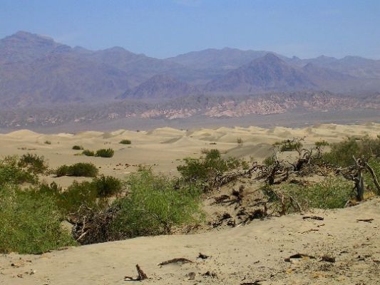 Mesquite Sand Dunes
In diesem Bereich des Death Valley haben sich großflächig Sanddünen gebildet.
