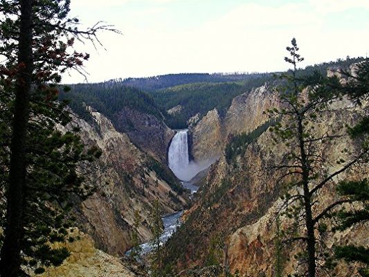 Grand Canyon of Yellowstone River
Der Weg zum Artist Point ist von dicht stehende Bäumen gesäumt, so dass man völlig von dem grandiosen, farbenprächtigen Blick auf die Schlucht überrascht wird.
