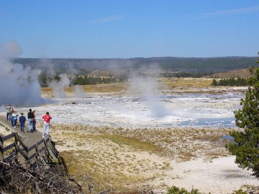 Dampfende Landschaften
Schon von Ferne aus sieht man diesen aktiven Teil des Parks auf sich zukommen. Viele dampfende Quellen verteilen sich auf einer großen Fläche.
