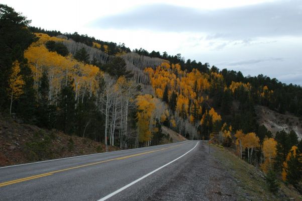 Fall
Herbst am Highway 12 in Utah
Schlüsselwörter: Highway 12, Utah, Herbst, Fall, Autumn, Landschaft
