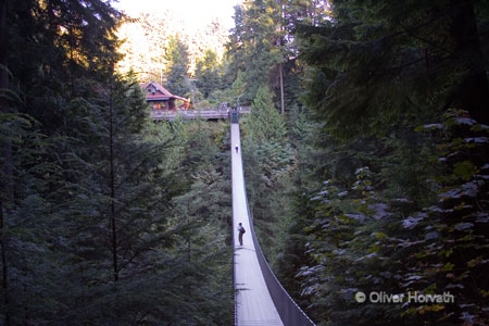 Capliano Suspension Bridge
