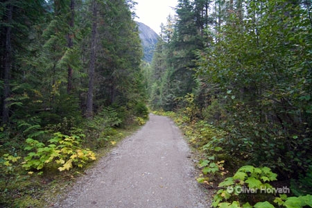 Wanderweg Berg Lake Trail
