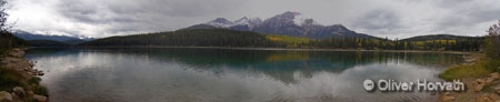 Patricia Lake
