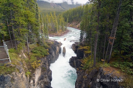 Sunwapta Falls
