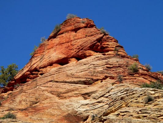 Zion NP
Schlüsselwörter: Zion NP