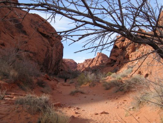 Feuer und Eis - Vegas und Nationalparks Jan. 2008
Valley of Fire
