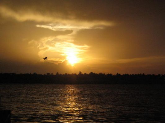 Sunset Key West
