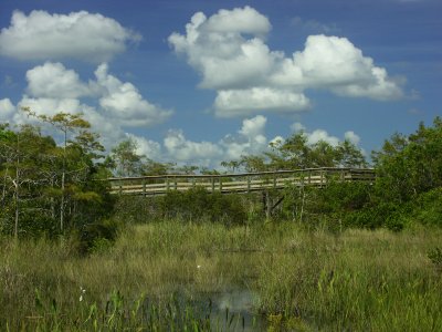 55a4
Everglades 4
