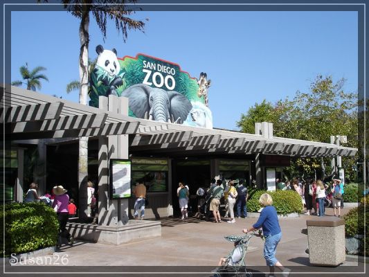 San Diego Zoo
