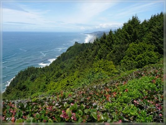 Cape Sebastian State Park, OR
