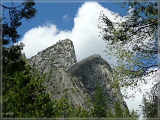 comp_Grillen_im_Yosemite_NP_(2).jpg