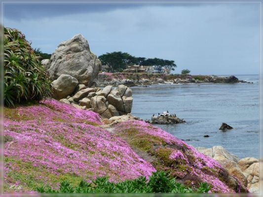 Lover's Point Park, Pacific Grove / CA
