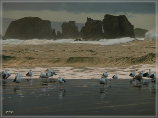 Bandon Beach, OR
