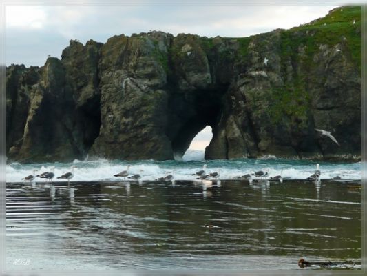 Bandon Beach, OR
