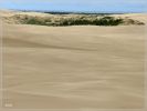 Umpqua Dunes / Oregon Dunes NRA