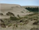 Umpqua Dunes / Oregon Dunes NRA