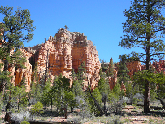Red Canyon

