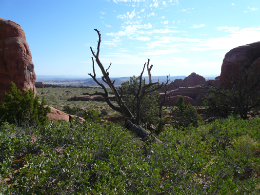 Arches NP
