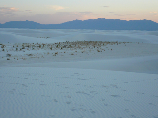 White Sands NM
