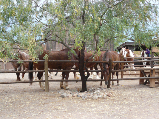 Old Tucson Studios
