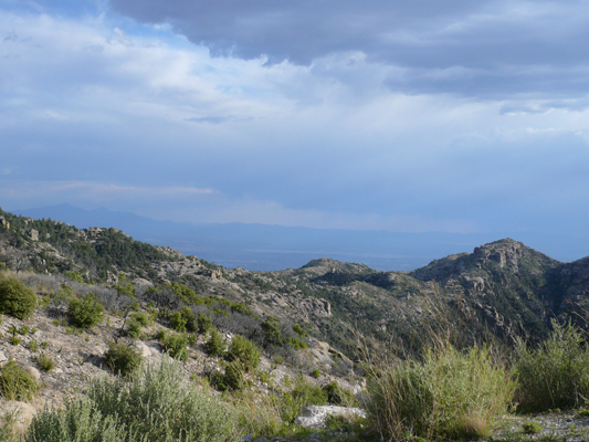 Mt. Lemmon/Tucson
