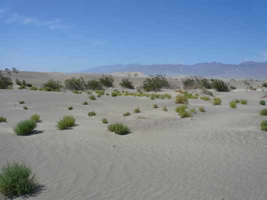 Death Valley
