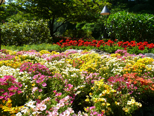 Butchart Gardens
