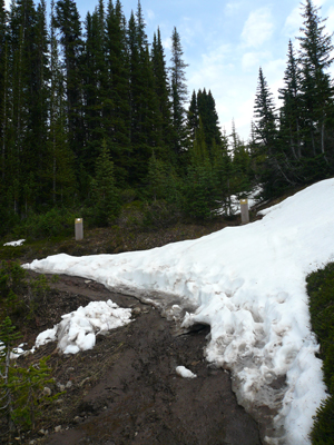 Parker Ridge Trail
