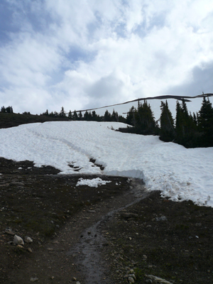 Parker Ridge Trail
