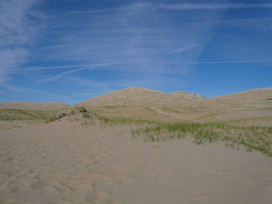 Kelso Dunes
