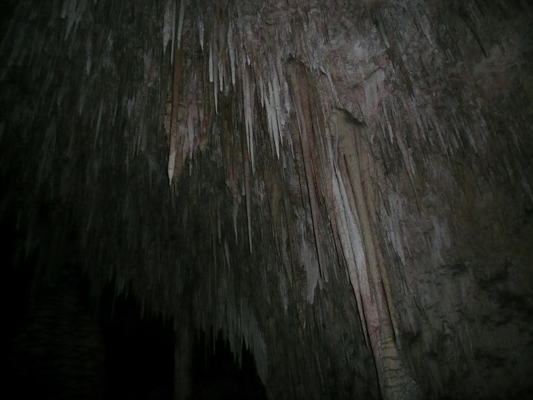 Carlsbad Caverns
