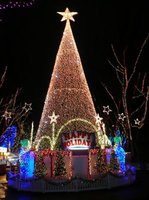 Santa's Enchanted Forest
