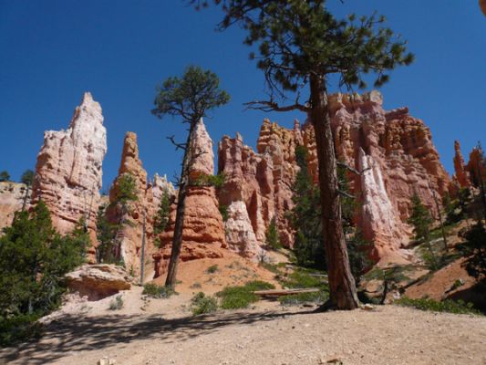 Bryce Canyon NP (Navajo Trail)
