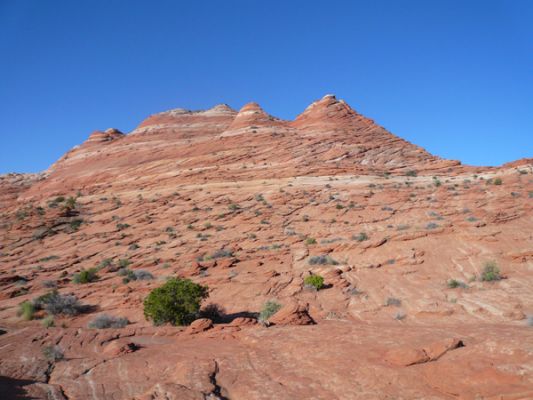 Coyote Buttes
