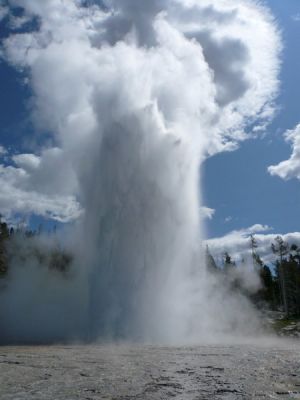 Grand Geyser, Yellowstone NP
