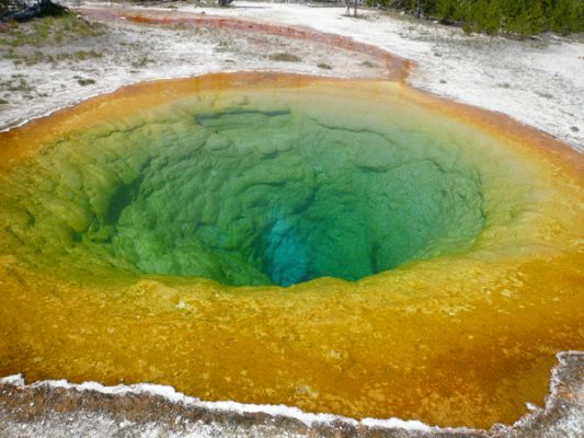 Morning Glory Pool, Yellowstone NP
