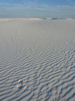 White Sands NM
