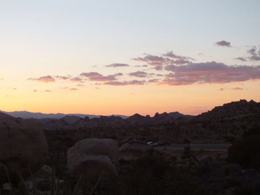 Joshua Tree NP
