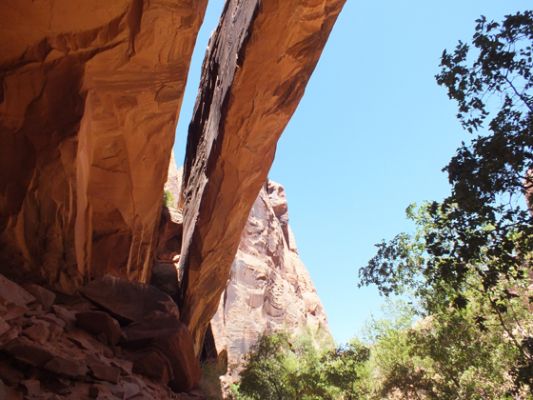 Negrobill Canyon
