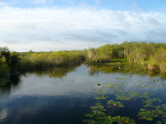 Everglades NP
