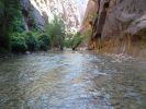 Zion NP (The Narrows)