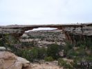 Natural Bridges NM