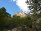 Guadalupe Mtn NP
